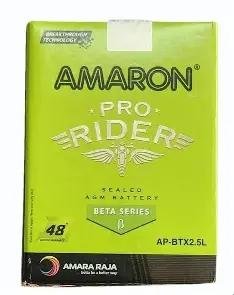 AMARON 48S-12APBTX2.5